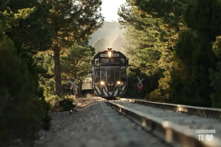 Tour Sierra Tarahumara Regional + Express