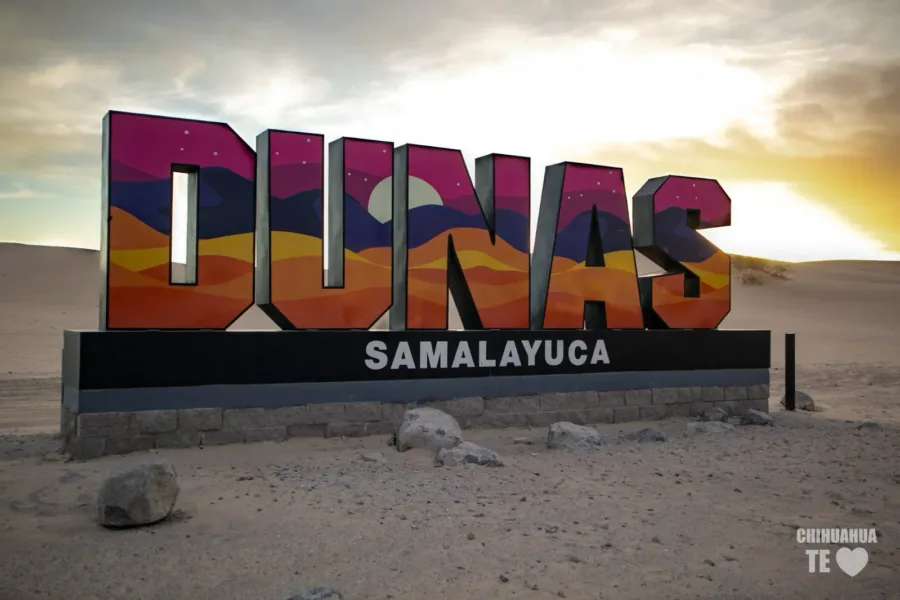 Dunas de Samalayuca