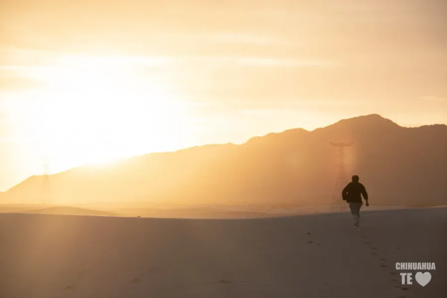 Dunas de Samalayuca