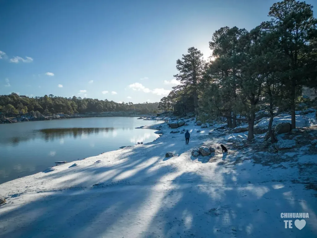 Lago de Arareko